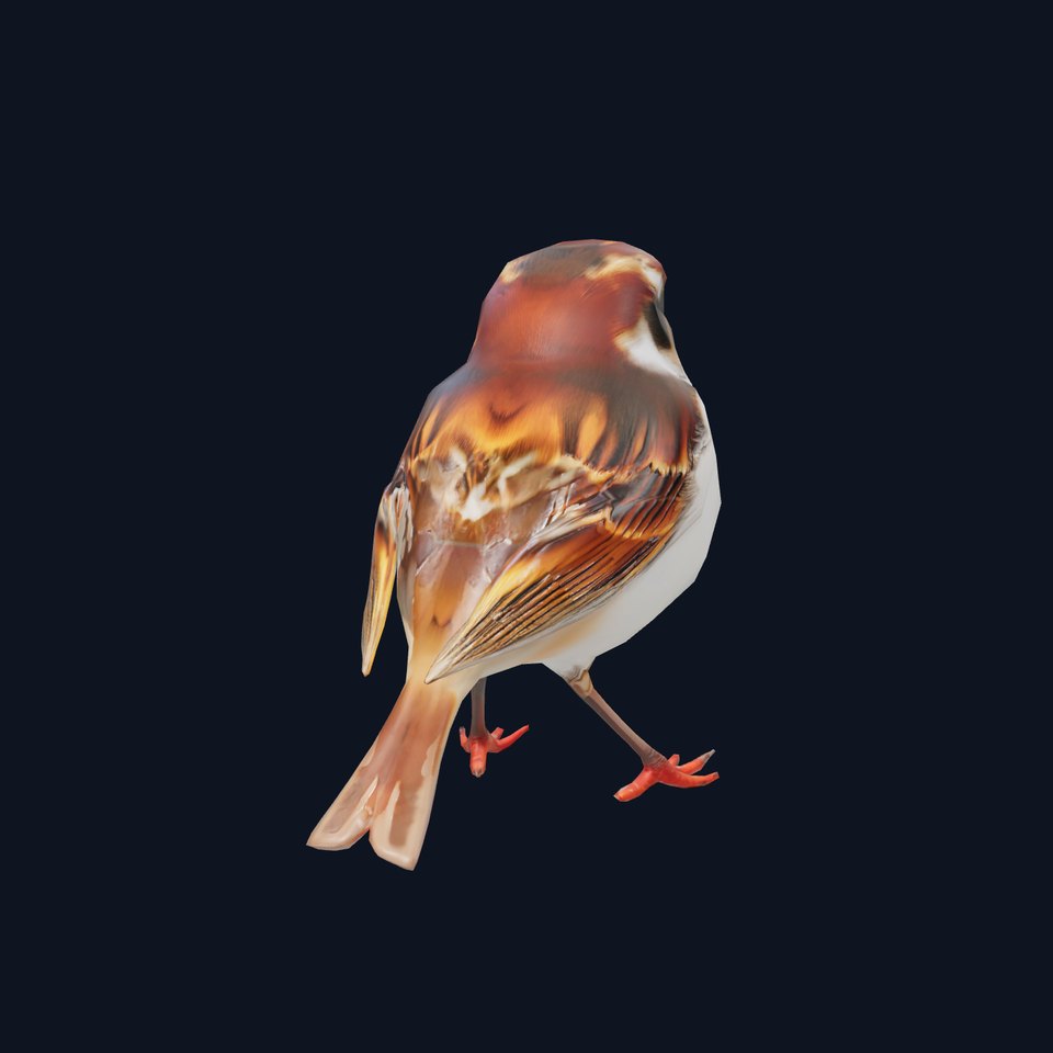 Vivid Sparrow Bird model pack
